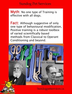 Positive Training Myth