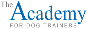 Academy Logo PNG